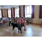 2017_08_08_hundestunde (13).jpg